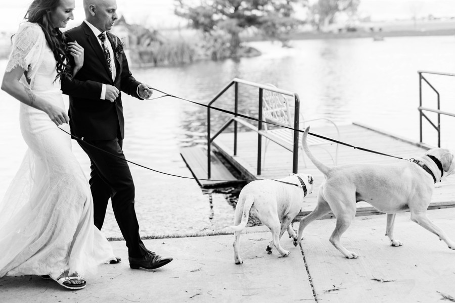 bride and groom walking dogs on still water hollow wedding day