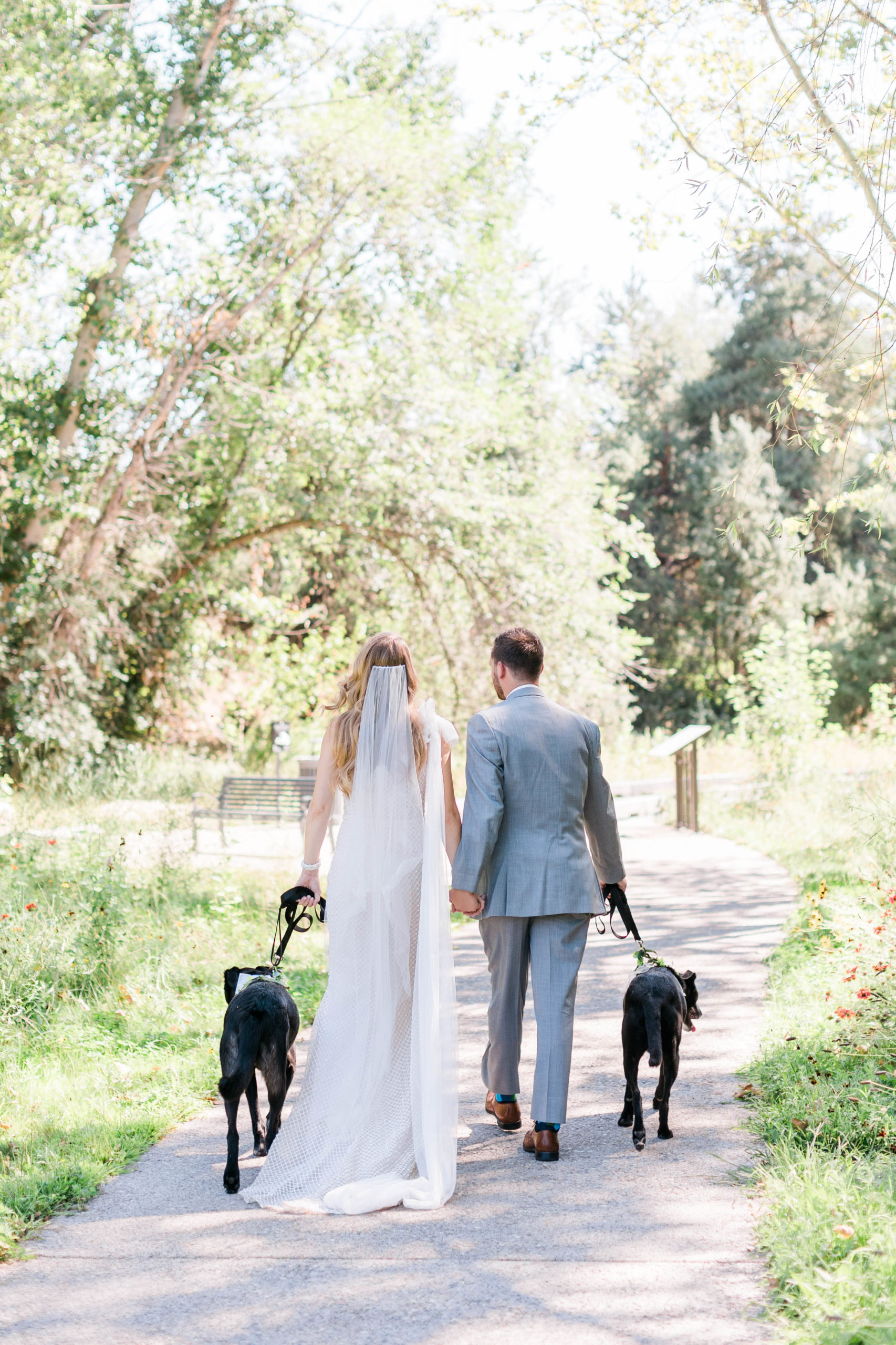 bride and groom walking down a path at their outdoor wedding venue in Boise while holding their dogs on leashes