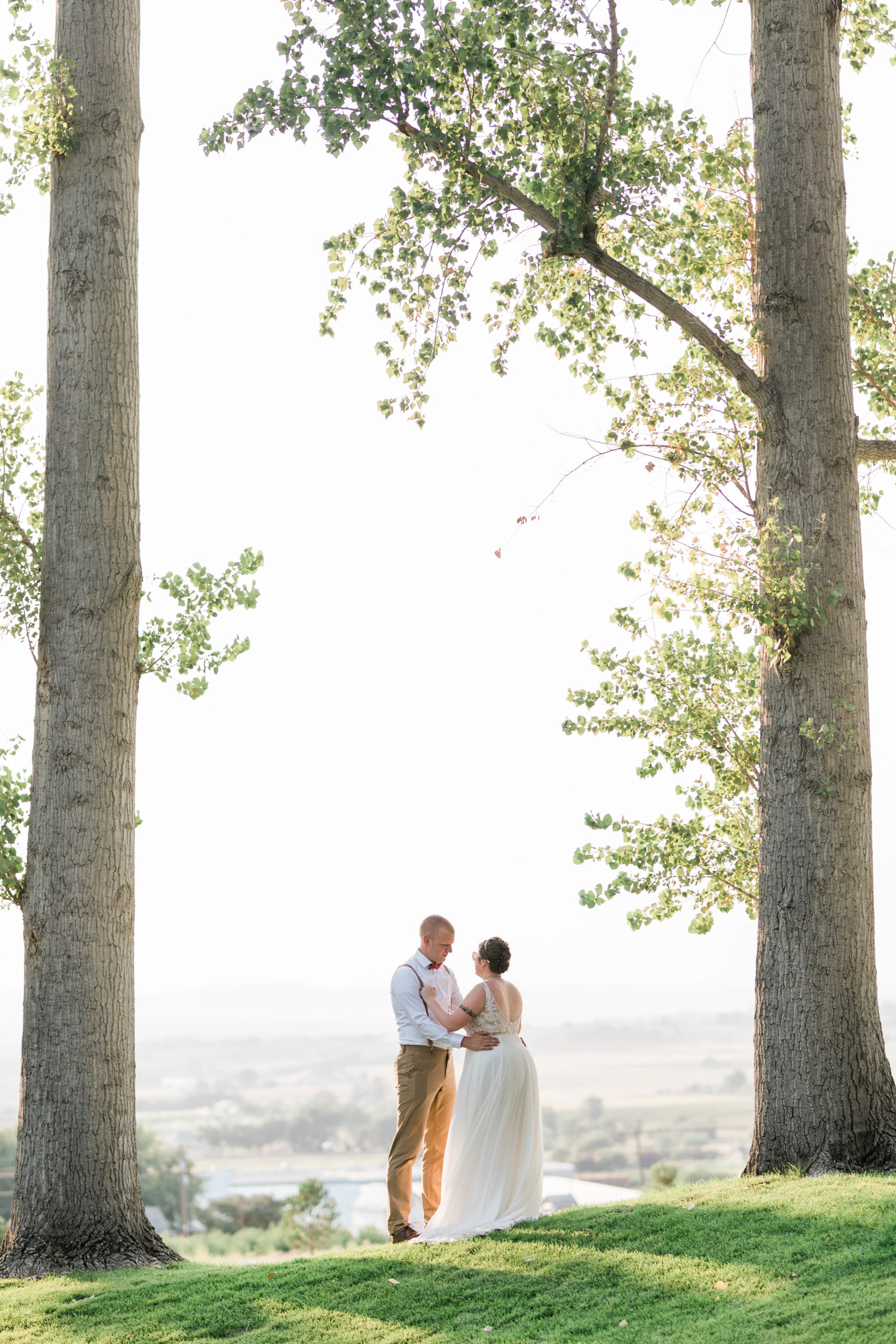 Boise wedding with bride and groom standing on a hill looking out over a valley through tall trees