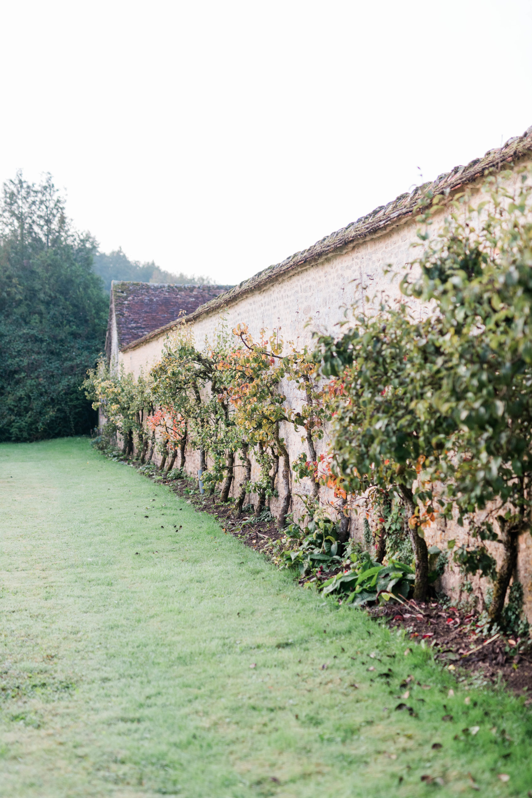 outdoor wedding venue with a brick wall and creeping vines 