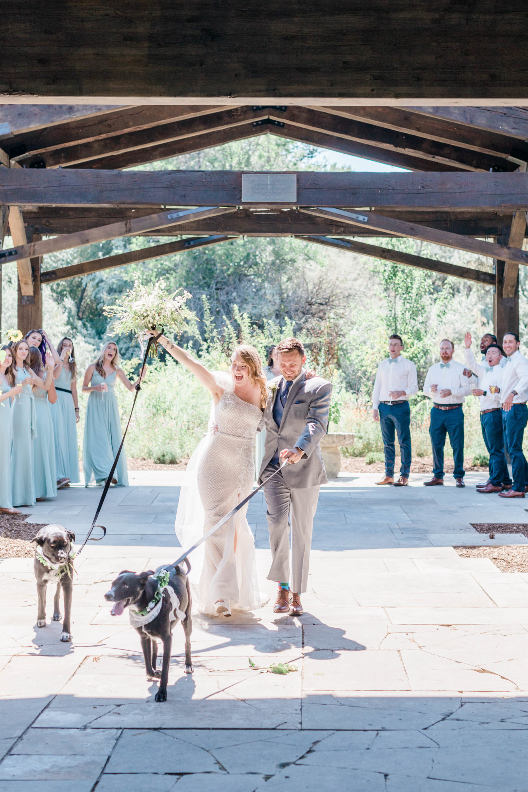 wedding exit with bride and groom walking their dogs back down the aisle after their Boise wedding ceremony