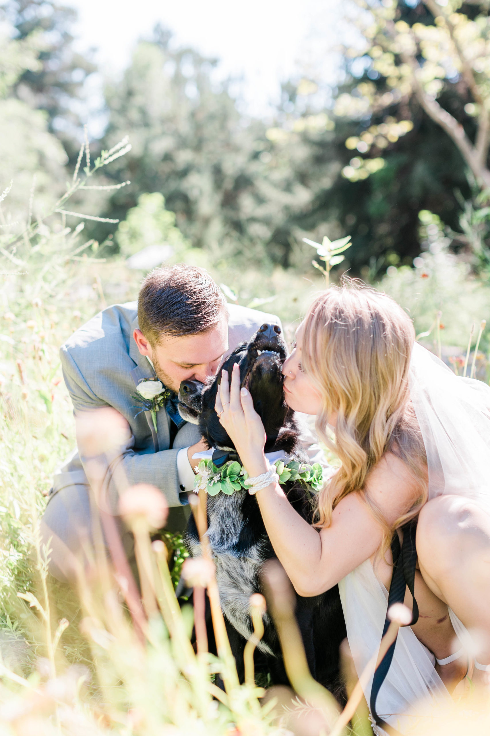 Boise Train Depot wedding with the bride and groom's dogs in a field