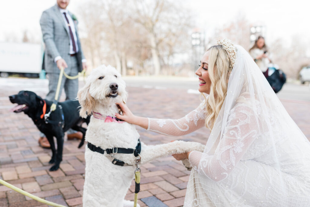 Boise wedding photographer captures bride holding hands with pup on wedding day. Couple includes pet on boise wedding day